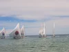 Iring-iringan perahu layar sandeq khas Mandar berlayar putih di perairan Majene, Sulawesi Barat