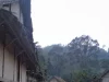 Atap rumah tradisional Baduy dengan latar hutan di Kampung Kanekes