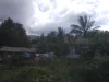 Rumah beratap seng dan pohon kelapa di permukiman tepi hutan Halmahera Timur