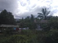 Rumah beratap seng dan pohon kelapa di permukiman tepi hutan Halmahera Timur
