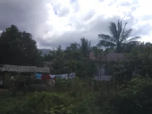 Rumah beratap seng dan pohon kelapa di permukiman tepi hutan Halmahera Timur