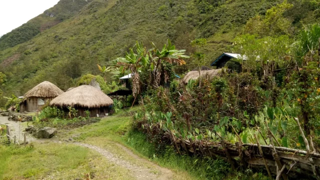Rumah bulat beratap jerami dan pagar kayu di permukiman Yuarima, Lembah Baliem