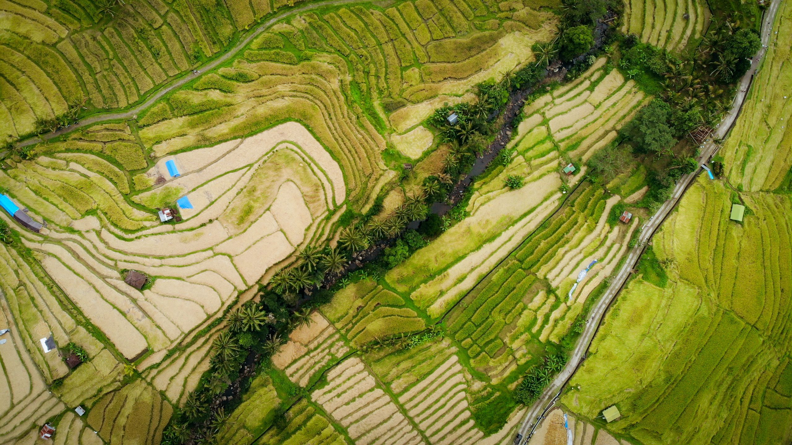 Ilustrasi hamparan sawah bertingkat dengan saluran air di Bali.