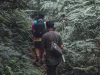 Dua pria berjalan beriringan menyusuri jalur setapak di hutan pakis yang rimbun