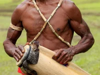 Pria Papua memainkan alat musik pukul tradisional