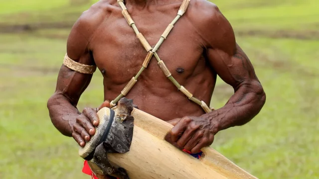 Pria Papua memainkan alat musik pukul tradisional