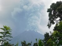 Ilustrasi gunung api menyemburkan kolom abu tebal dilihat dari balik pepohonan.