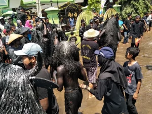 Peserta berkostum kerbau berlumpur hitam melintasi jalan desa dalam ritual Kebo-keboan Alasmalang, Banyuwangi