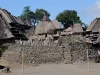 Ilustrasi rumah adat beratap alang-alang menjulur tinggi di Kampung Bena, Flores, Nusa Tenggara Timur, arsitektur tradisional serupa rumah adat Sabu.