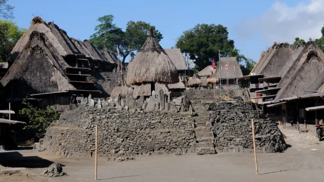 Ilustrasi rumah adat beratap alang-alang menjulur tinggi di Kampung Bena, Flores, Nusa Tenggara Timur, arsitektur tradisional serupa rumah adat Sabu.