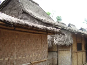 Deretan rumah adat Sasak beratap alang-alang di Desa Sade, Lombok Tengah, Nusa Tenggara Barat