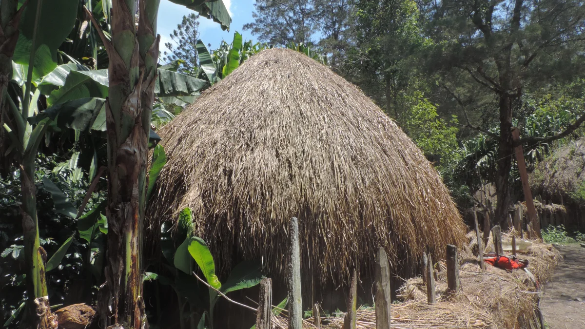 Honai beratap jerami di balik tiang pagar kayu dekat Wamena, Lembah Baliem