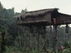 Rumah pohon orang Korowai di dekat Basman, Papua, dipotret pada Juli 1992
