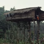 Rumah pohon orang Korowai di dekat Basman, Papua, dipotret pada Juli 1992