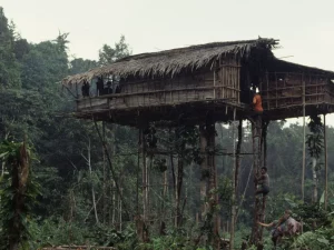 Rumah pohon orang Korowai di dekat Basman, Papua, dipotret pada Juli 1992