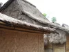 Deretan rumah tradisional Sasak beratap jerami dan berdinding anyaman bambu di Desa Sade