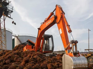 Ekskavator oranye mengeruk tumpukan tandan kelapa sawit di halaman pabrik sawit