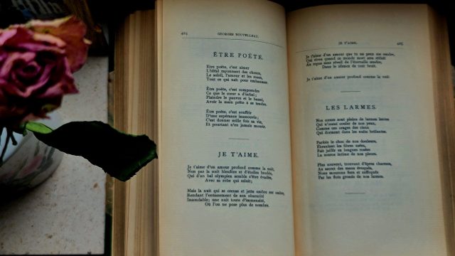 Ilustrasi buku puisi tua yang terbuka dengan setangkai mawar kering di sisinya.
