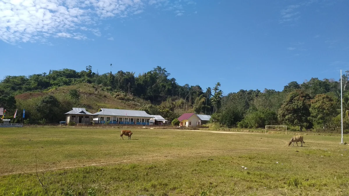 Lapangan berumput dengan sapi merumput di depan rumah dan perbukitan hijau