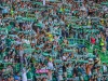 Kerumunan suporter sepak bola mengibarkan syal di tribun stadion