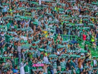 Kerumunan suporter sepak bola mengibarkan syal di tribun stadion