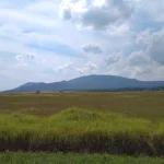 Padang sabana luas dengan perbukitan di Taman Nasional Rawa Aopa Watumohai
