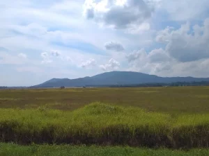 Padang sabana luas dengan perbukitan di Taman Nasional Rawa Aopa Watumohai