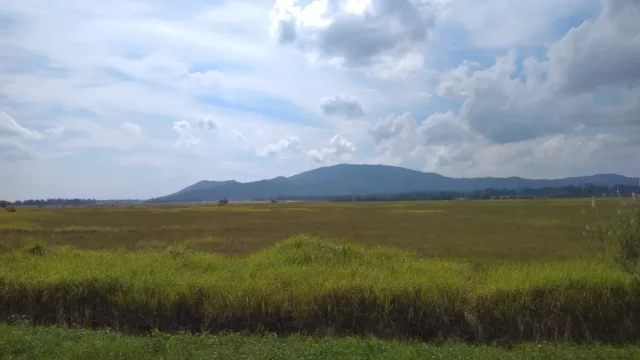 Padang sabana luas dengan perbukitan di Taman Nasional Rawa Aopa Watumohai