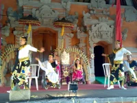 Anggota Yayasan Senang Hati menampilkan tari kursi roda di Ubud, Bali