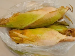 Beberapa tongkol jagung manis berkelobot di dalam kantong plastik bening