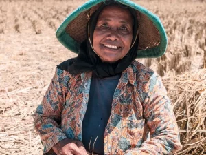 Ilustrasi seorang petani perempuan duduk di petak sawah seusai panen
