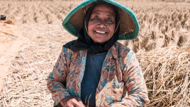 Ilustrasi seorang petani perempuan duduk di petak sawah seusai panen