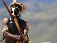 Seorang lelaki Suku Dani berhias cat tubuh dan bulu memegang tombak kayu pada Festival Lembah Baliem, Wamena, Papua.