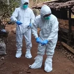 Petugas berpakaian pelindung diri memeriksa kandang ternak
