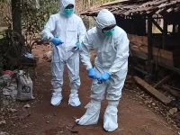 Petugas berpakaian pelindung diri memeriksa kandang ternak