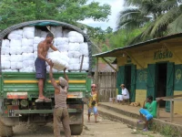 Ilustrasi petugas menurunkan bal kelambu berinsektisida dari truk di sebuah desa di Madagaskar