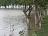 Air banjir merendam pepohonan dan pagar di tepi jalan Distrik Fatehabad, Haryana, India, 2023