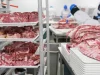 Ilustrasi potongan daging mentah di rak nampan plastik putih ruang pemotongan pabrik daging