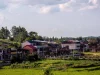 Ilustrasi deretan rumah bertingkat di tepi sawah sebuah desa di Hengyang, Hunan, Tiongkok