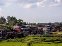 Ilustrasi deretan rumah bertingkat di tepi sawah sebuah desa di Hengyang, Hunan, Tiongkok