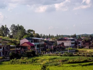 Ilustrasi deretan rumah bertingkat di tepi sawah sebuah desa di Hengyang, Hunan, Tiongkok