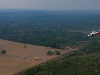 Helikopter terbang di atas hutan Amazon dan lahan terbuka di Autazes, Brasil