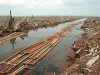 Lahan hutan gambut di Riau yang ditebang untuk perkebunan kelapa sawit pada 2006