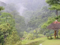 Hutan hujan berkabut dan pondok beratap rumbia di Camp Granit, Taman Nasional Bukit Tigapuluh