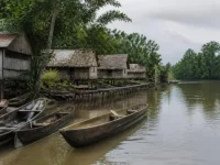 Ilustrasi perahu lesung kayu tertambat di muara berbakau dekat rumah panggung kampung pesisir