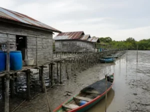 Ilustrasi rumah panggung kayu di atas lumpur pasang surut dengan tong air biru dan sampan