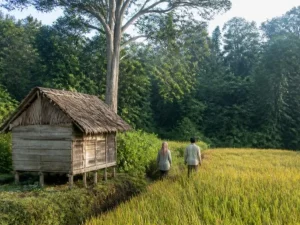 Ilustrasi ladang padi menguning dan pondok kayu beratap daun di tepi hutan