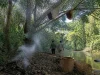 Ilustrasi pohon bersarang lebah di tepi sungai hutan dengan asap dan keranjang rotan