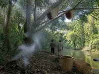 Ilustrasi pohon bersarang lebah di tepi sungai hutan dengan asap dan keranjang rotan