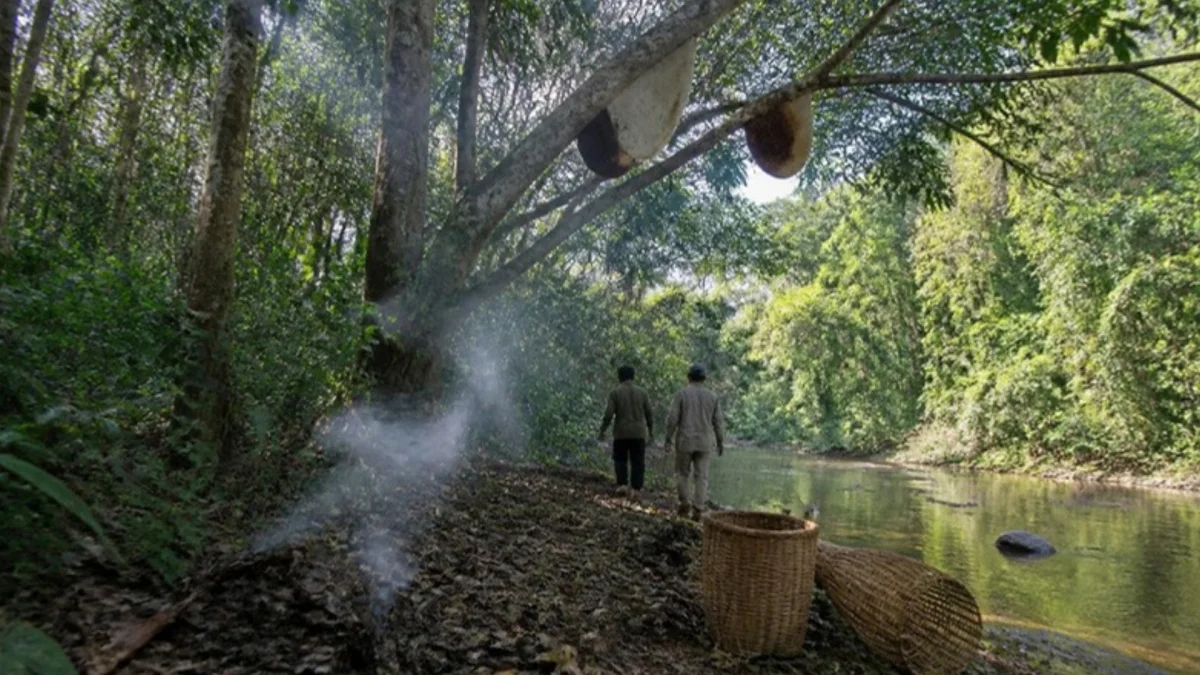 Ilustrasi pohon bersarang lebah di tepi sungai hutan dengan asap dan keranjang rotan